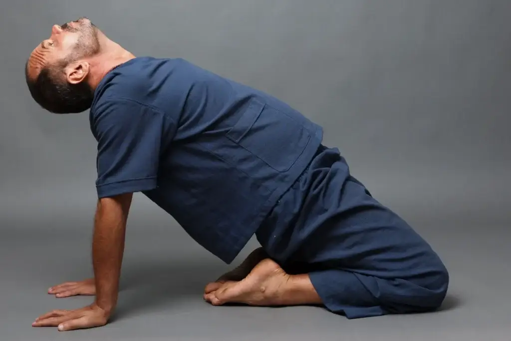Pratique d’asanas traditionnels inspirés du yoga de l’Himalaya, illustrant la sagesse et l’héritage du yoga classique pour le corps, le souffle et l’esprit.